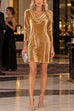 Karleedress Cowl Neck Long Sleeve Velvet Mini Dress