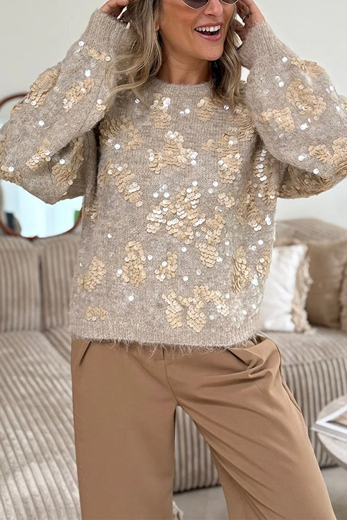 Crewneck Drop Shoulder Sequin Embellished Pullover Sweater